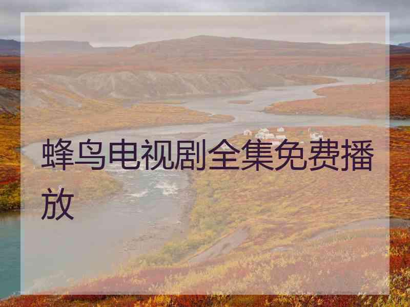 蜂鸟电视剧全集免费播放