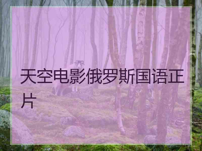 天空电影俄罗斯国语正片