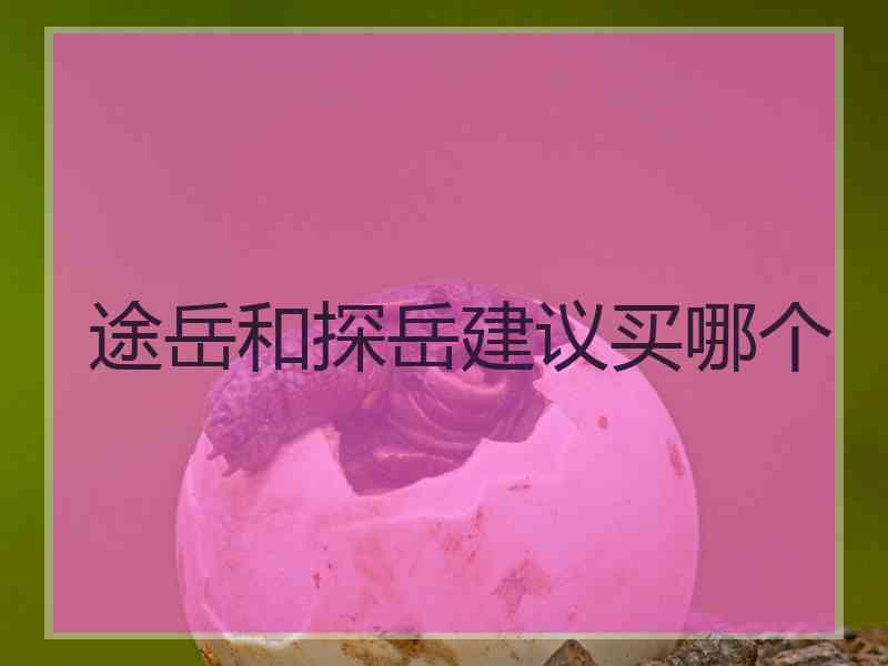 途岳和探岳建议买哪个