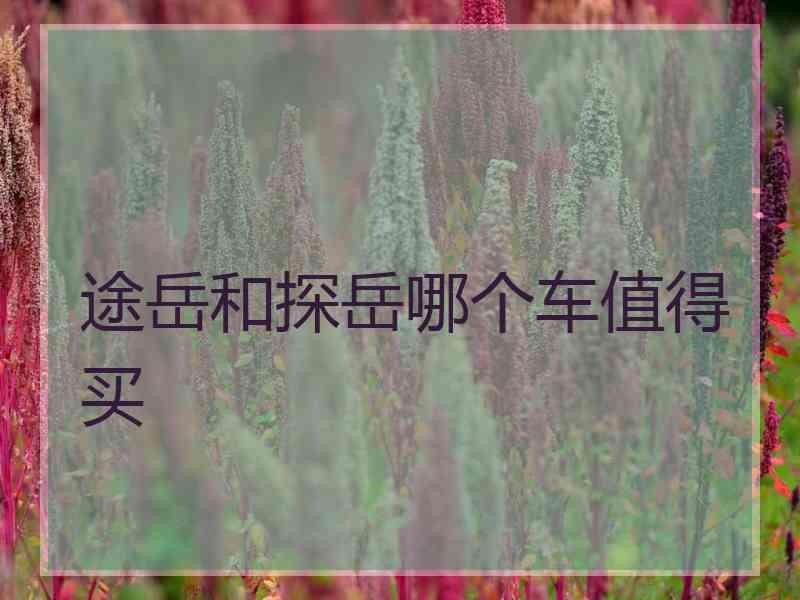 途岳和探岳哪个车值得买