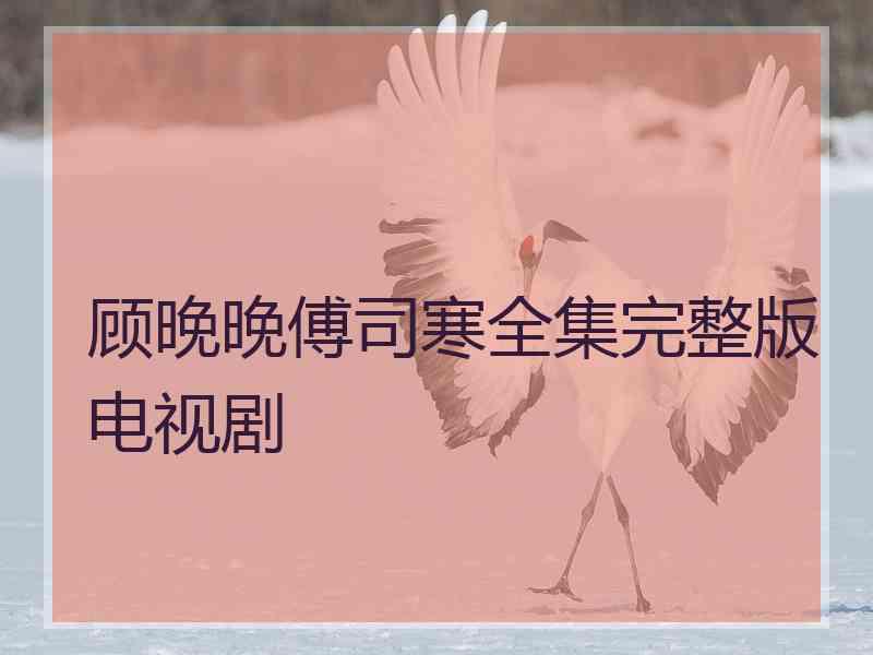 顾晚晚傅司寒全集完整版电视剧