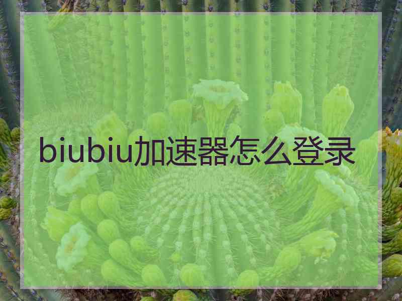 biubiu加速器怎么登录 biubiu加速器怎么登录
