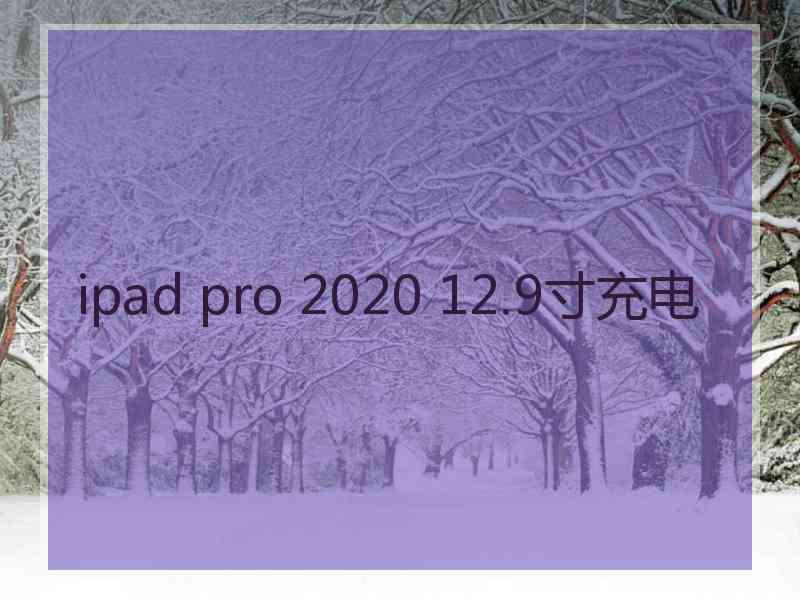 ipad pro 2020 12.9寸充电