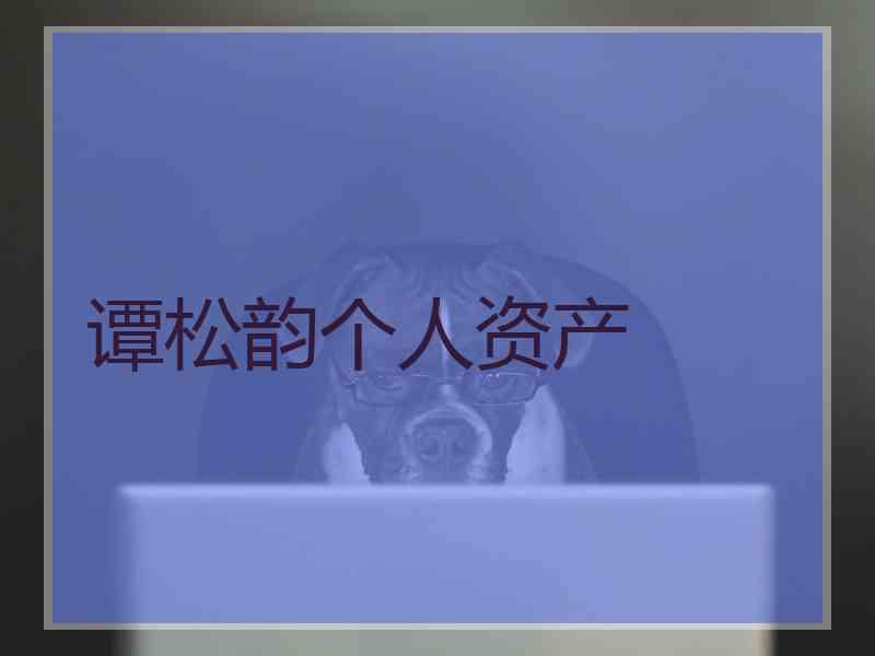 谭松韵个人资产