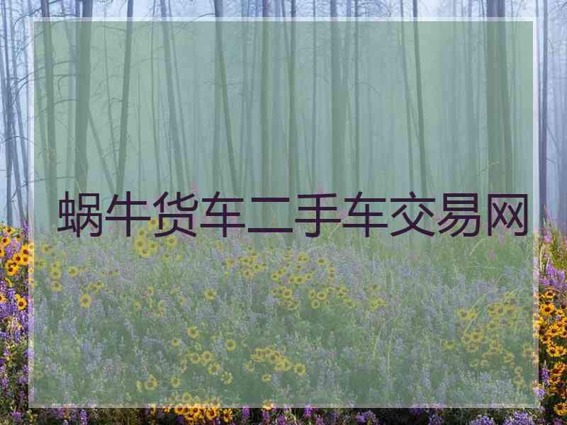蜗牛货车二手车交易网