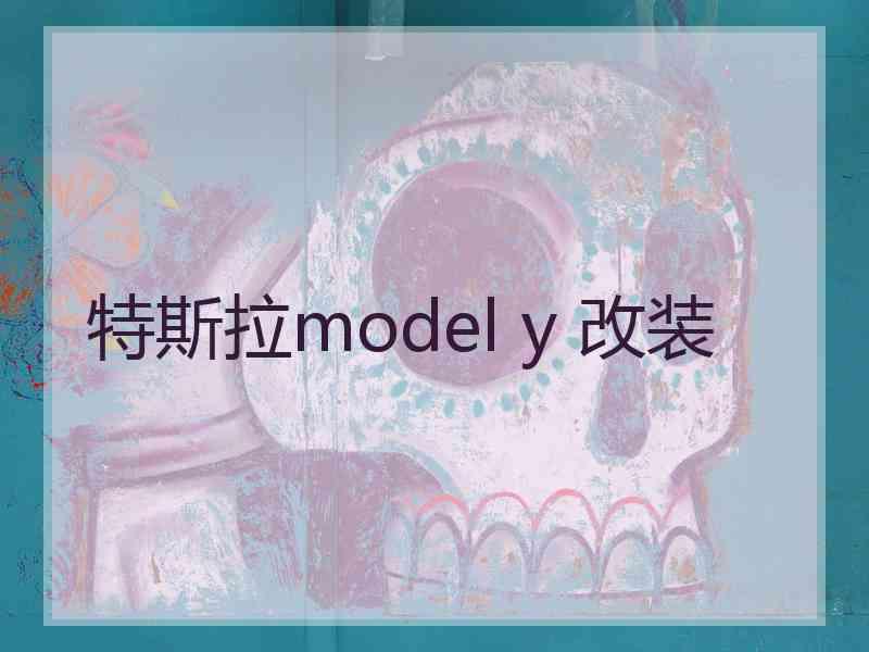 特斯拉model y 改装