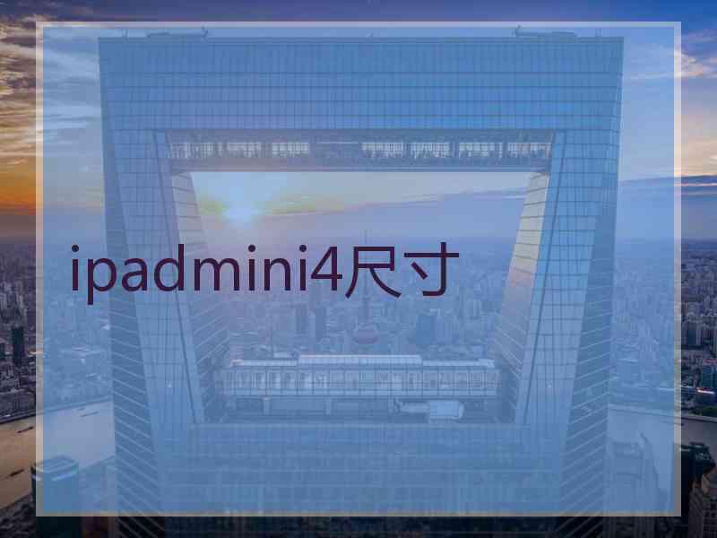 ipadmini4尺寸