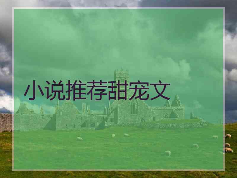小说推荐甜宠文