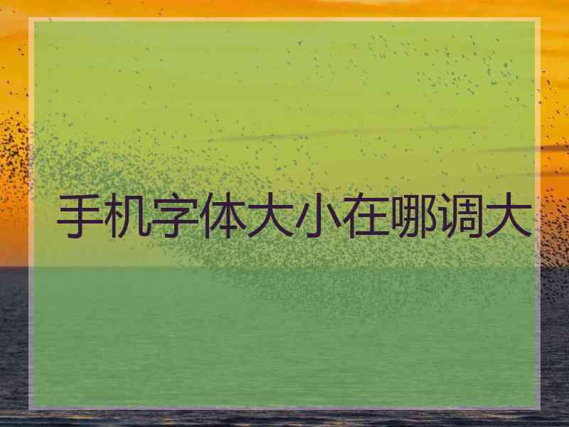 手机字体大小在哪调大