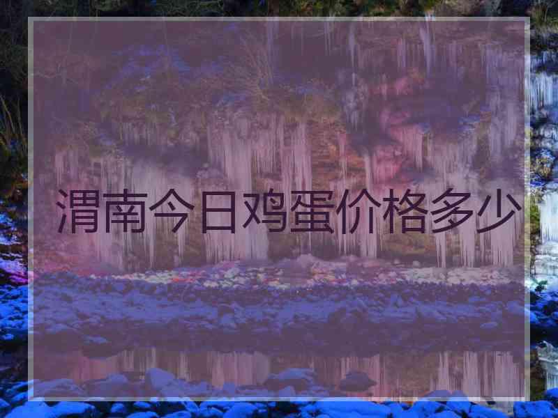 渭南今日鸡蛋价格多少