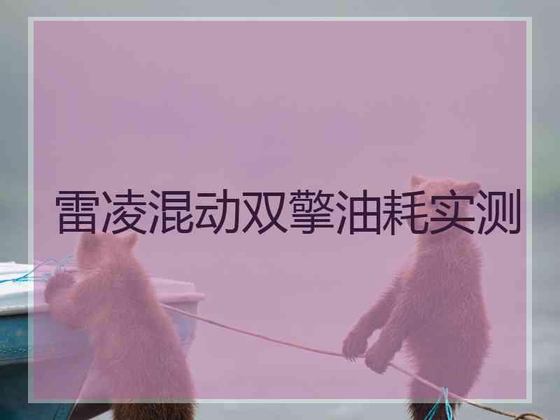 雷凌混动双擎油耗实测