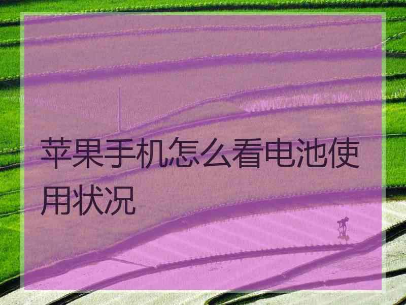 苹果手机怎么看电池使用状况