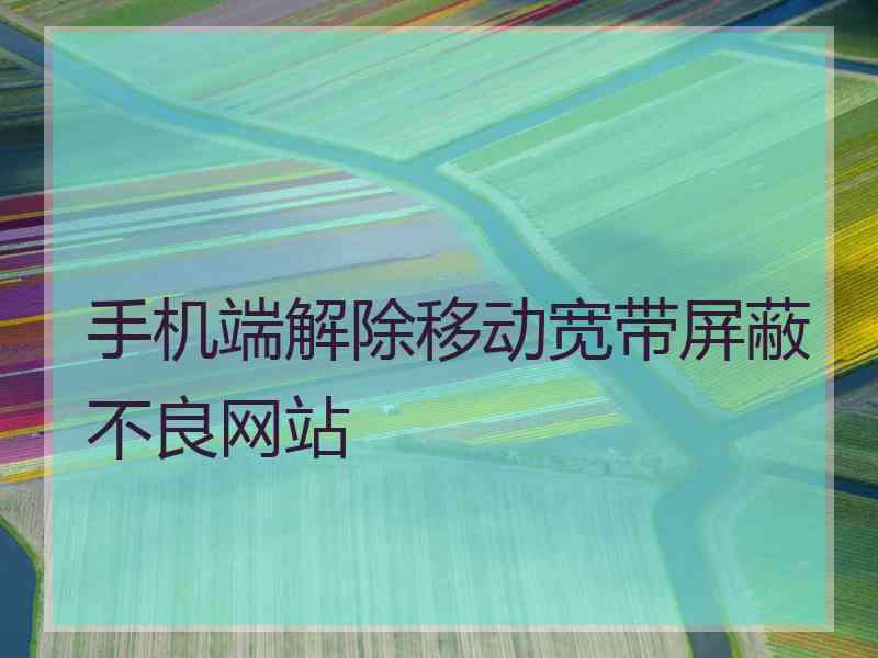 手机端解除移动宽带屏蔽不良网站