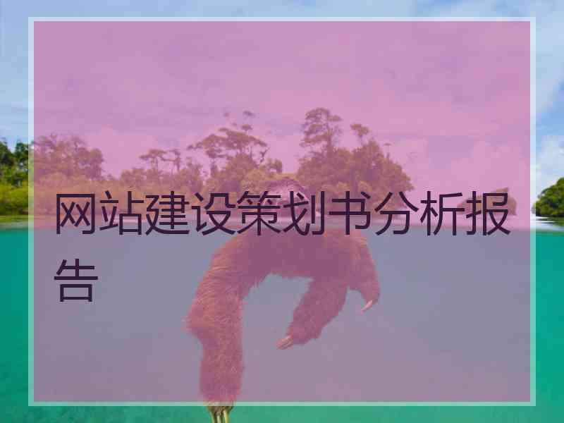 网站建设策划书分析报告