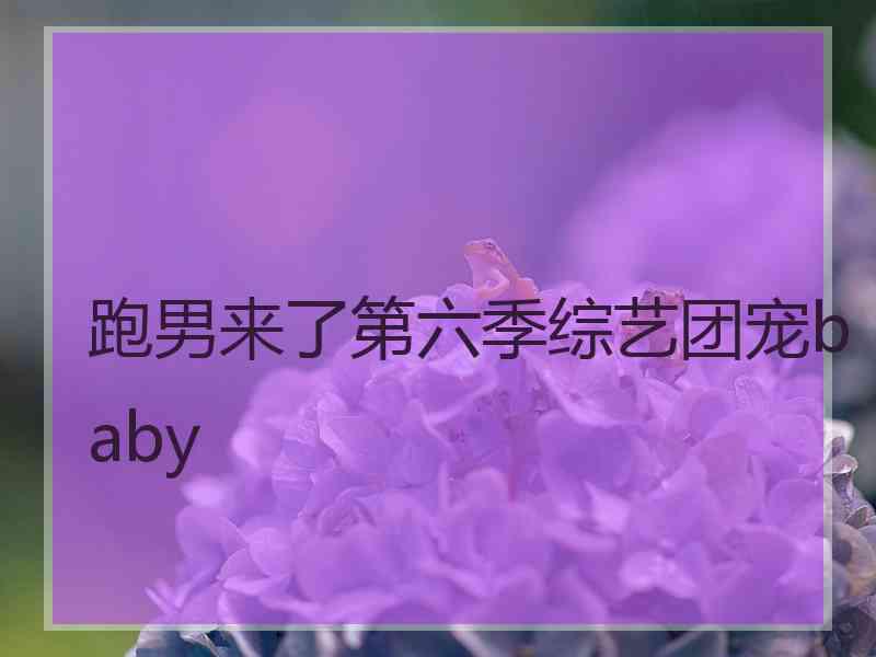 跑男来了第六季综艺团宠baby 跑男来了第六季综艺团宠baby