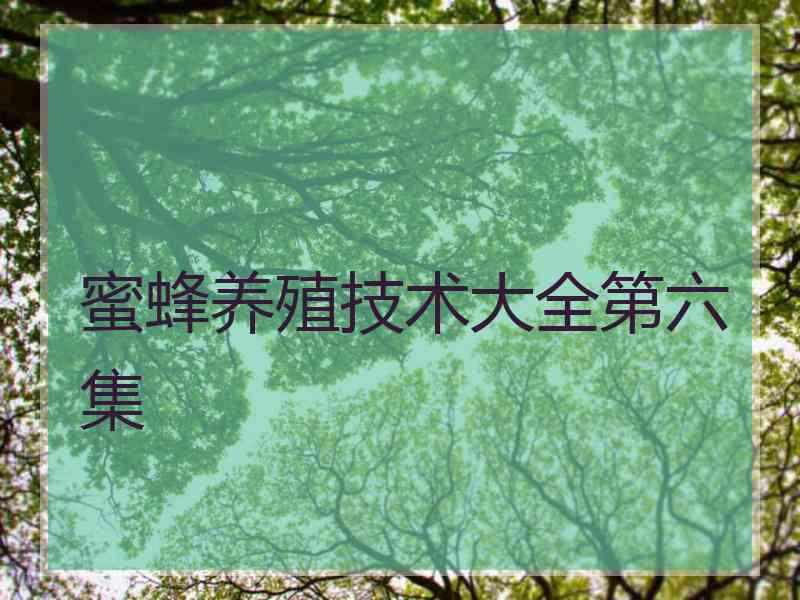 蜜蜂养殖技术大全第六集