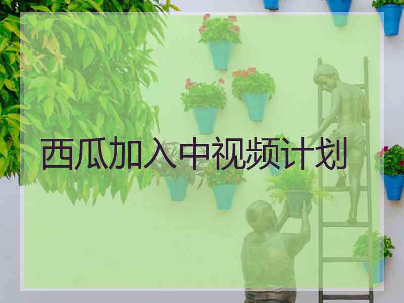 西瓜加入中视频计划 西瓜加入中视频计划