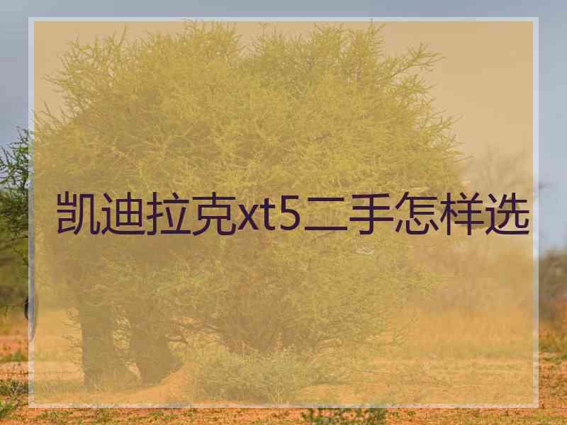 凯迪拉克xt5二手怎样选