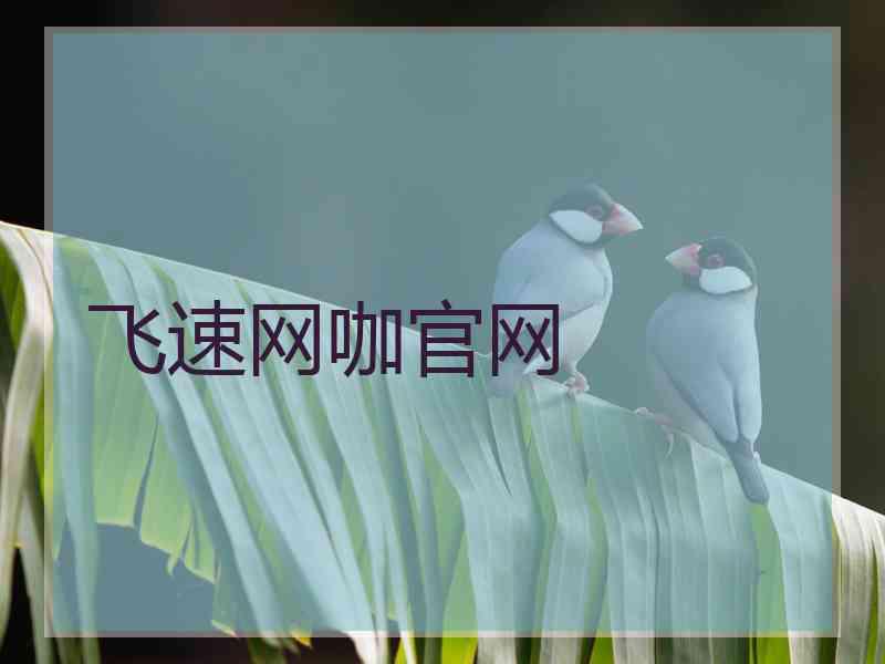 飞速网咖官网