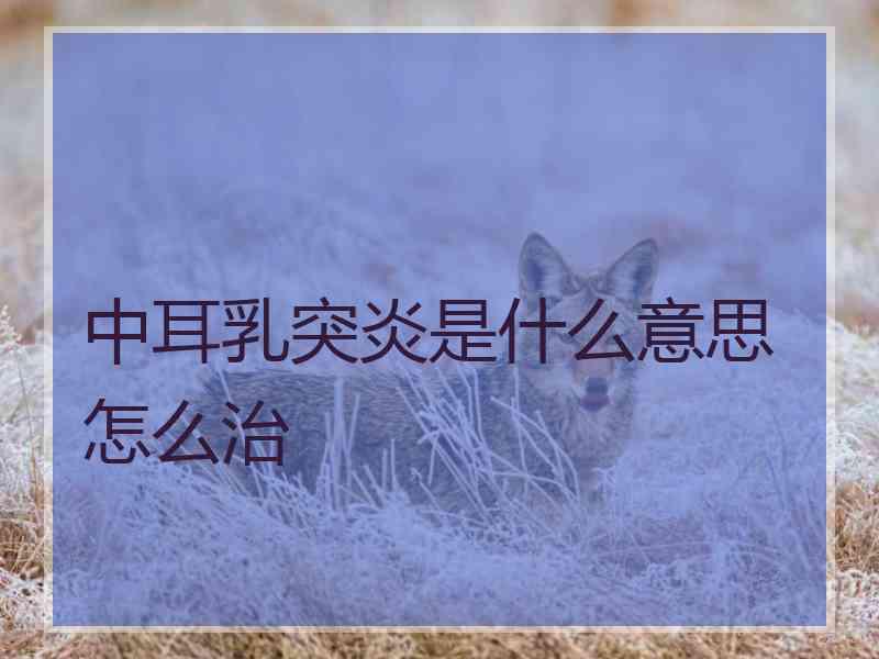 中耳乳突炎是什么意思怎么治