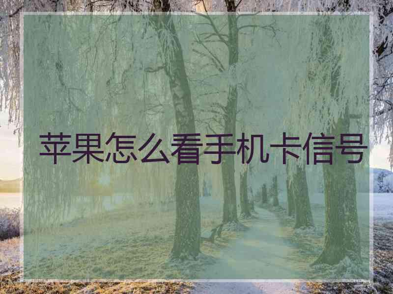苹果怎么看手机卡信号