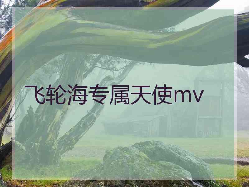 飞轮海专属天使mv