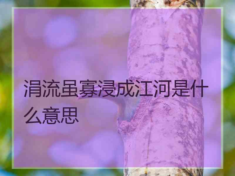 涓流虽寡浸成江河是什么意思 涓流虽寡浸成江河是什么意思
