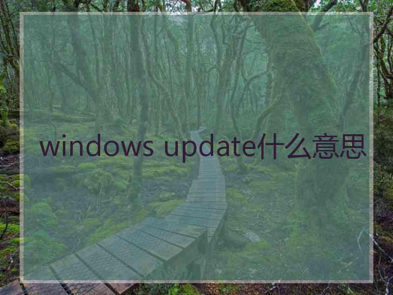 windows update什么意思 windows update什么意思