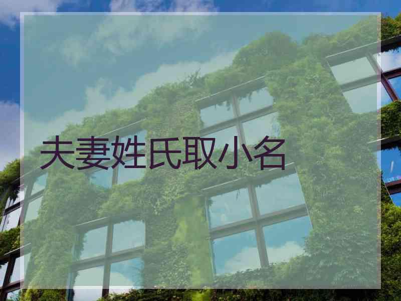 夫妻姓氏取小名