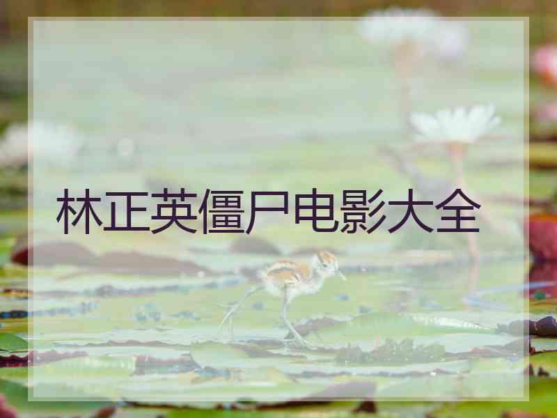 林正英僵尸电影大全 林正英僵尸电影大全