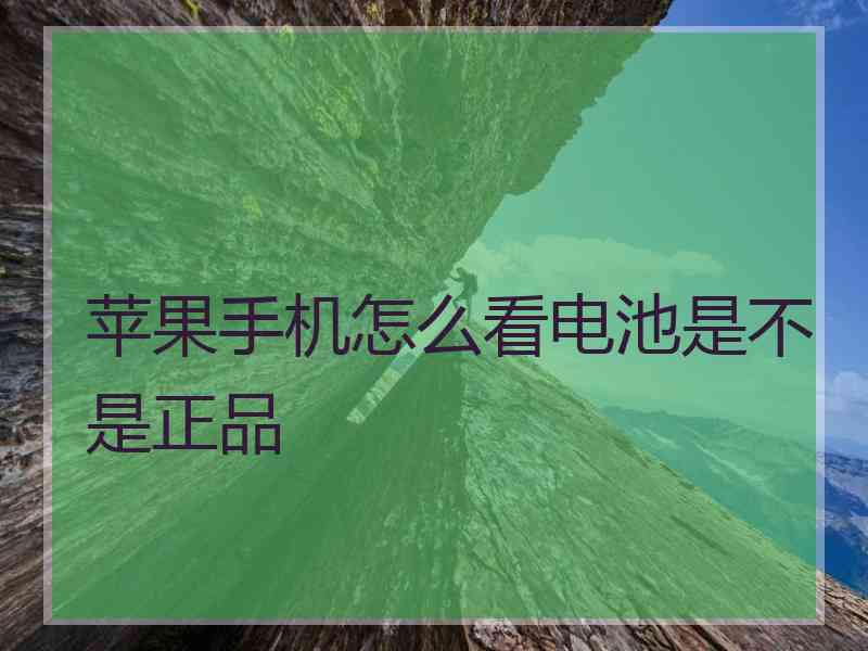苹果手机怎么看电池是不是正品