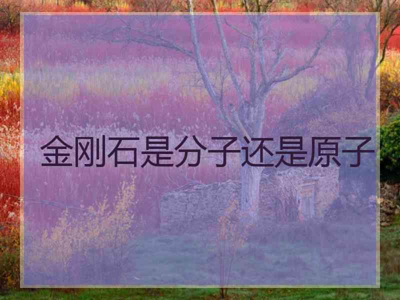 金刚石是分子还是原子