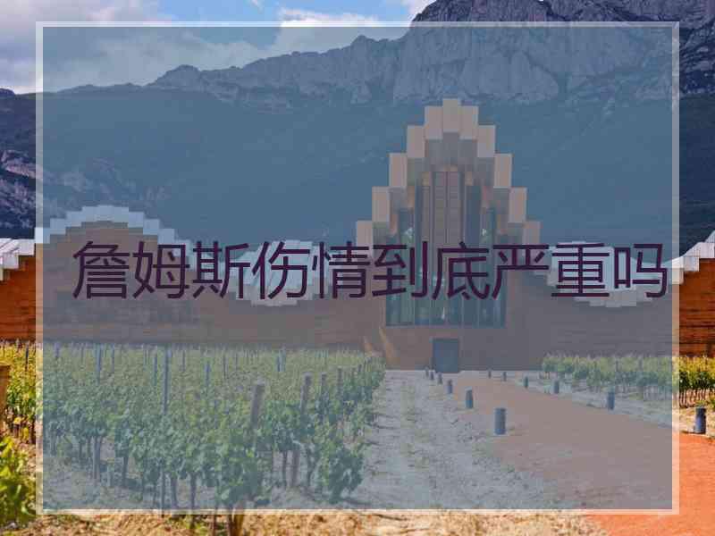 詹姆斯伤情到底严重吗