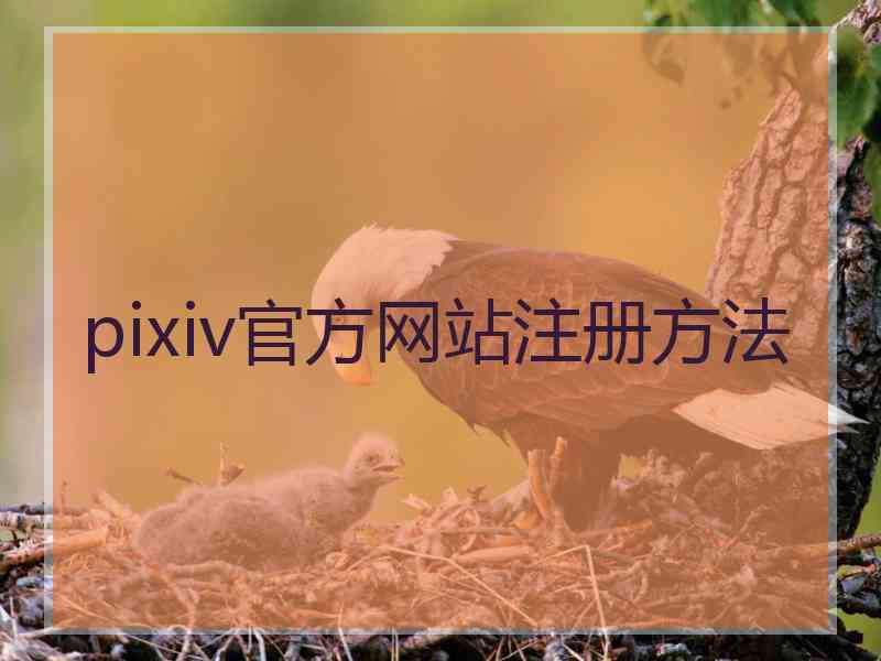 pixiv官方网站注册方法