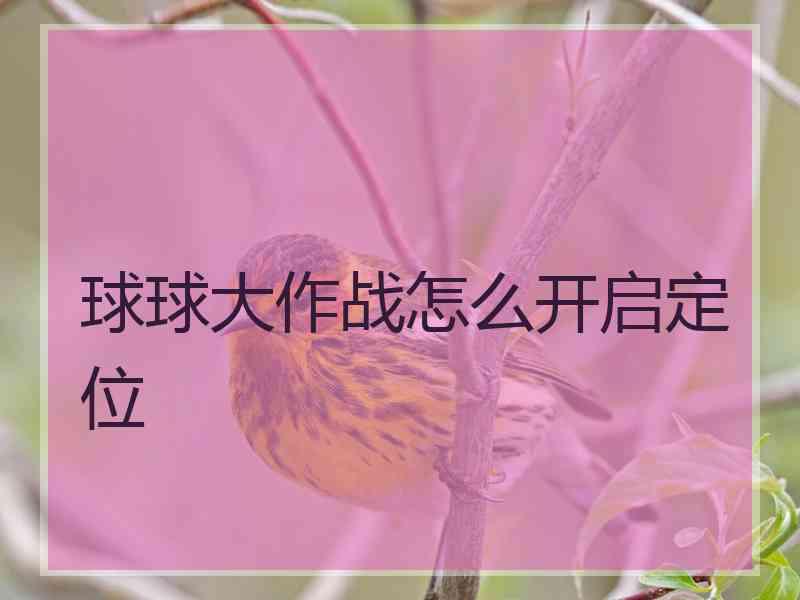 球球大作战怎么开启定位