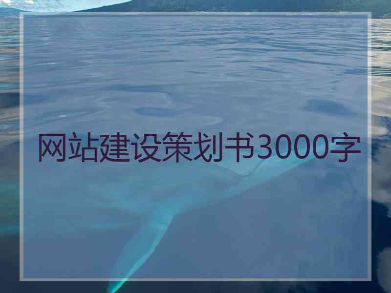 网站建设策划书3000字