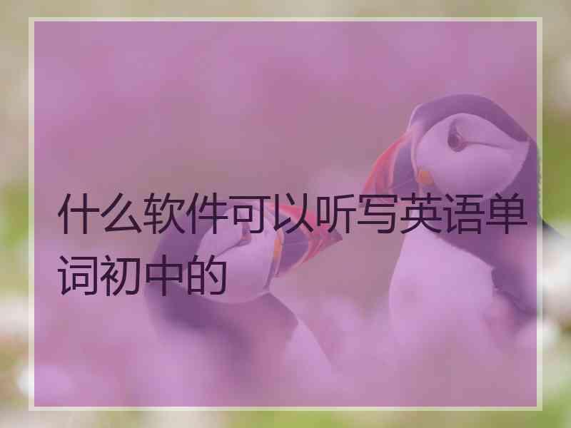 什么软件可以听写英语单词初中的
