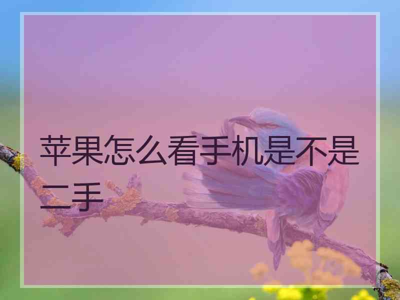 苹果怎么看手机是不是二手