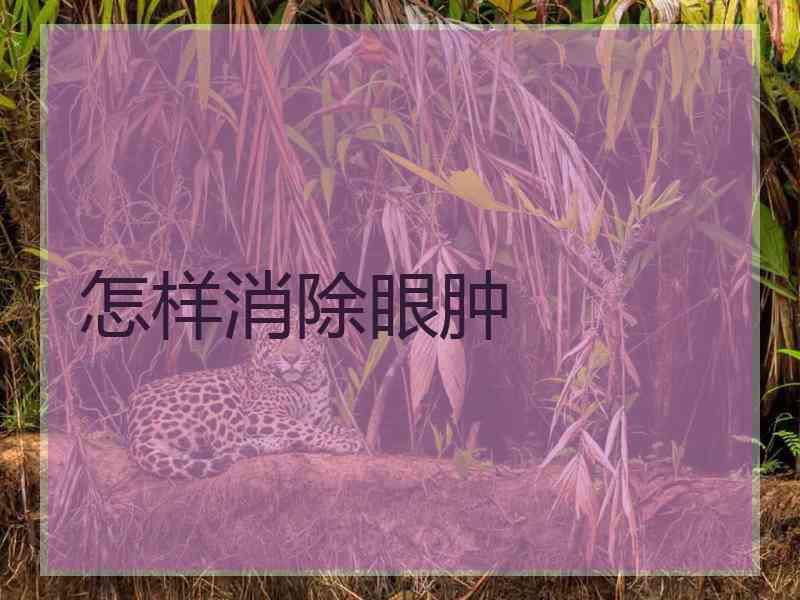 怎样消除眼肿