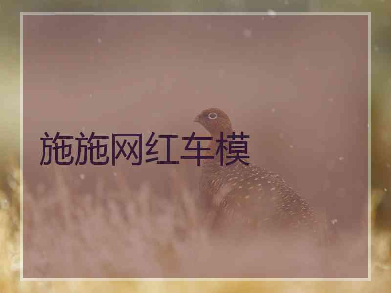 施施网红车模