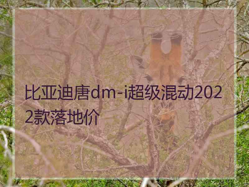 比亚迪唐dm-i超级混动2022款落地价