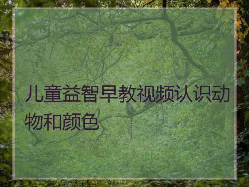 儿童益智早教视频认识动物和颜色