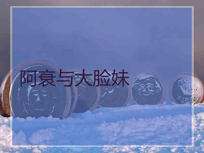 阿衰与大脸妹