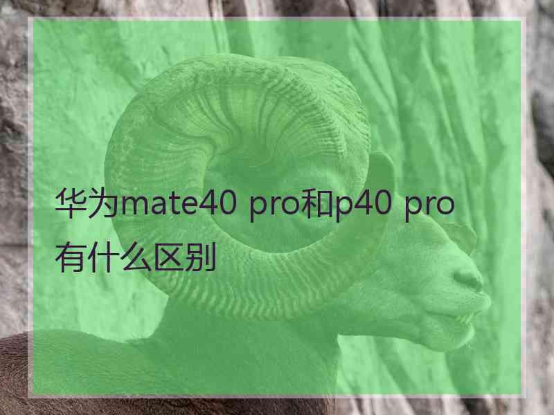 华为mate40 pro和p40 pro有什么区别