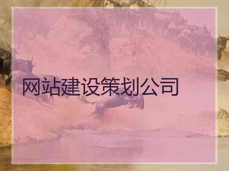 网站建设策划公司