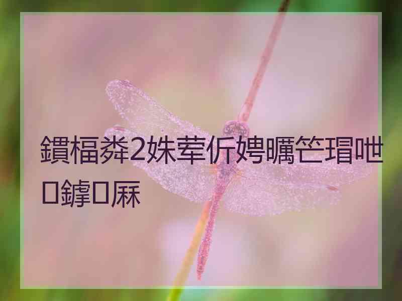 鏆楅粦2姝荤伒娉曞笀瑁呭鎼厤