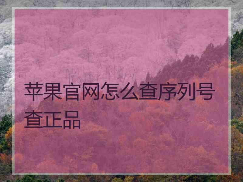 苹果官网怎么查序列号查正品
