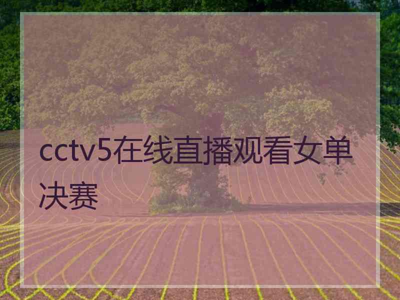 cctv5在线直播观看女单决赛