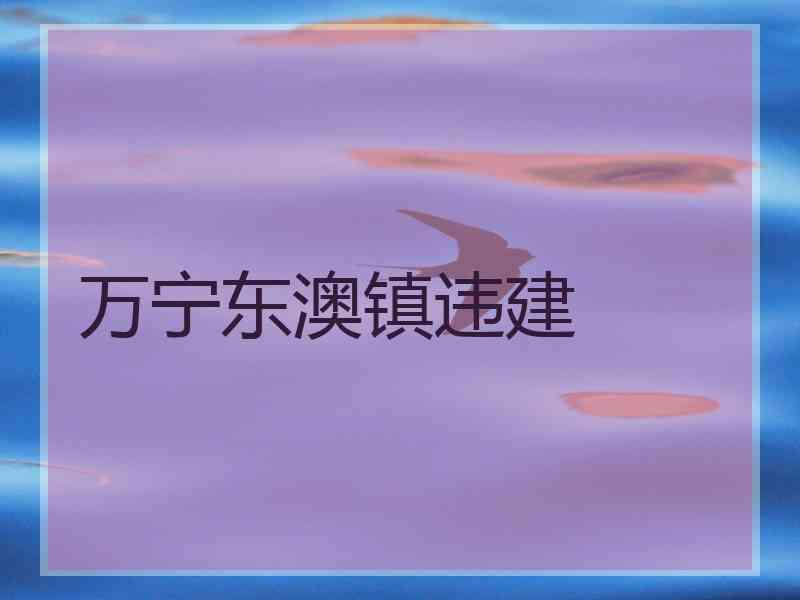 万宁东澳镇违建