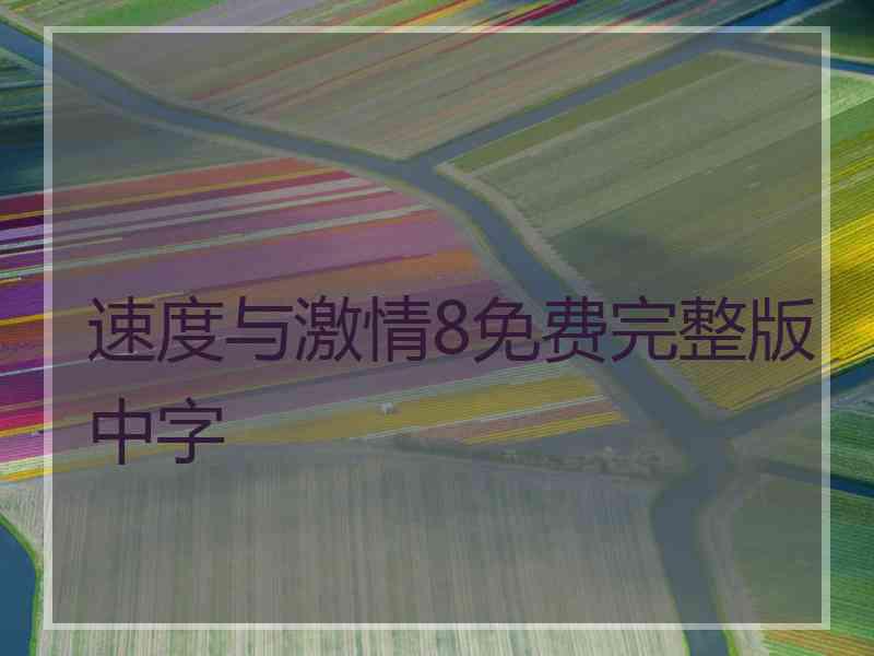速度与激情8免费完整版中字